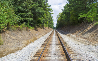 Ce n’est pas un “backlash” mais un mouvement : le PIVOT MAJORITAIRE !